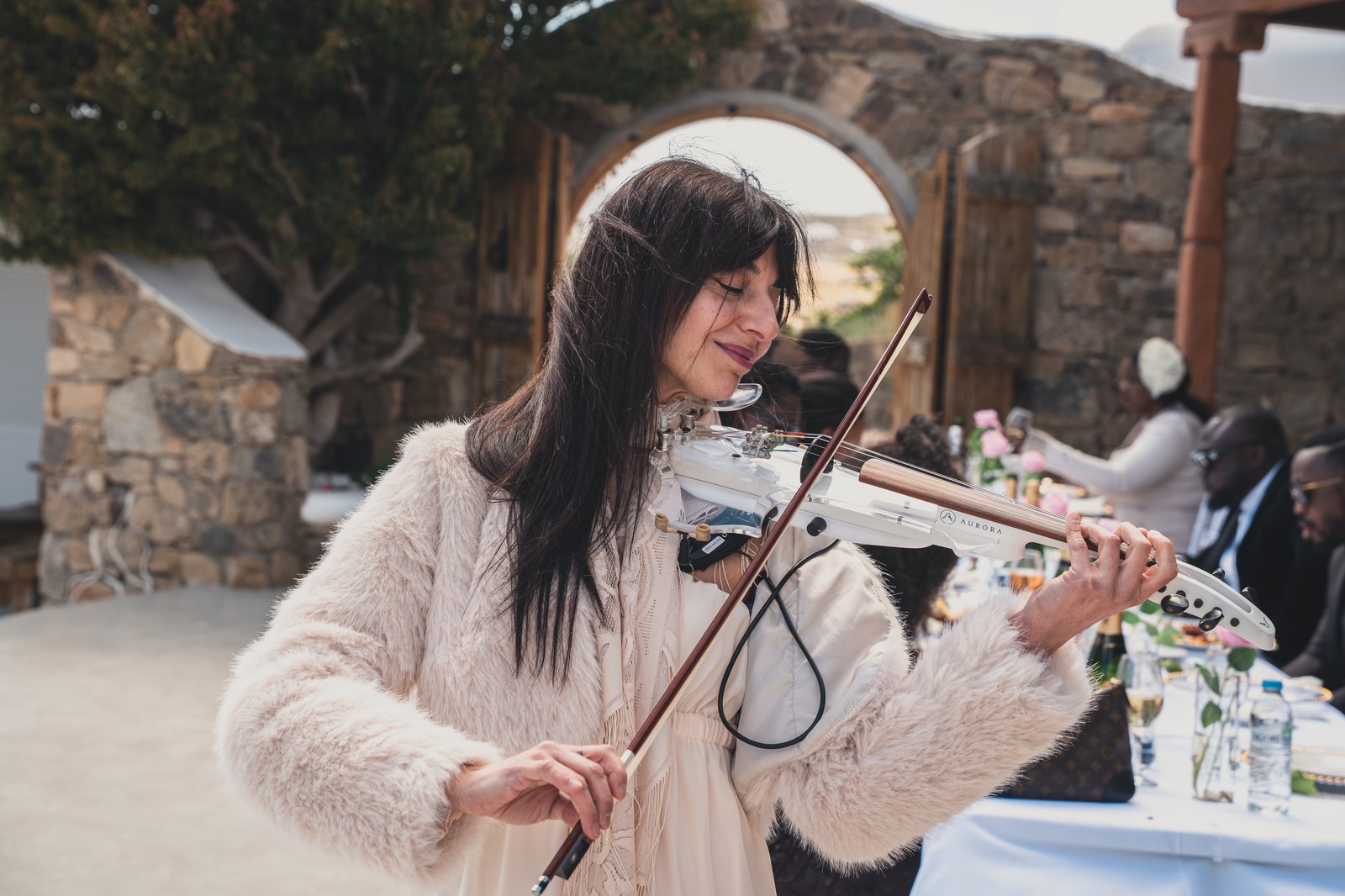 A violinist performing at the reception